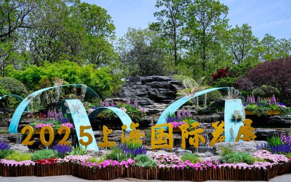 DSC04325.jpg DSC04325.jpg