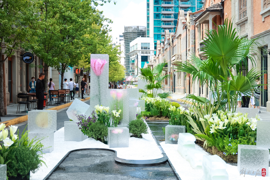 张园供图.jpg 张园供图.jpg