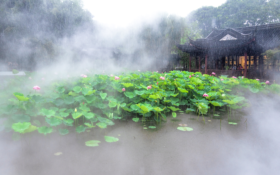 微信图片_20240703134617.png 微信图片_20240703134617.png