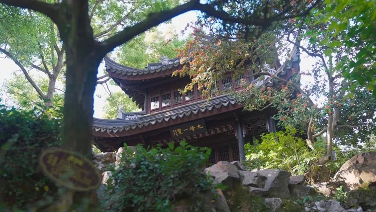 跟着地图去打卡,全民健身的活力舞台:青浦区体育中心 跟着地图去打卡,全民健身的活力舞台:青浦区体育中心