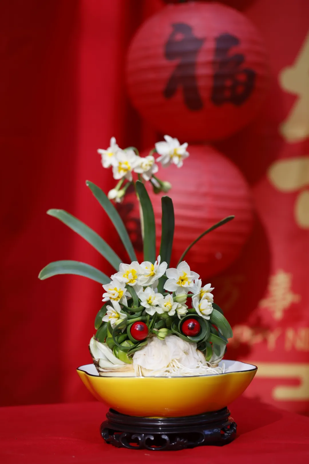 图片 5.png 图片 5.png