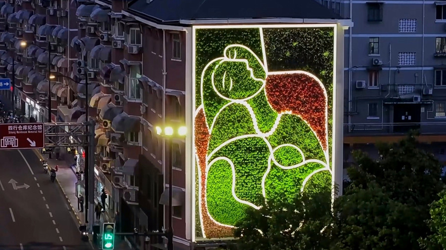 西藏北路曲阜西路西南角的立体绿化《梦》,在晚上别有韵味.jpg
