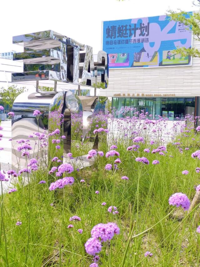 0529_111540_691.jpg 微信图片_2025-05-29_111344_417.jpg