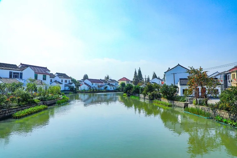 江南春景水一半，12处小流域绘青浦生态美域