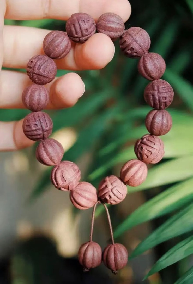 青浦区妇联活动预告：春日序章，2025年4月活动邀您共赴诗意之约