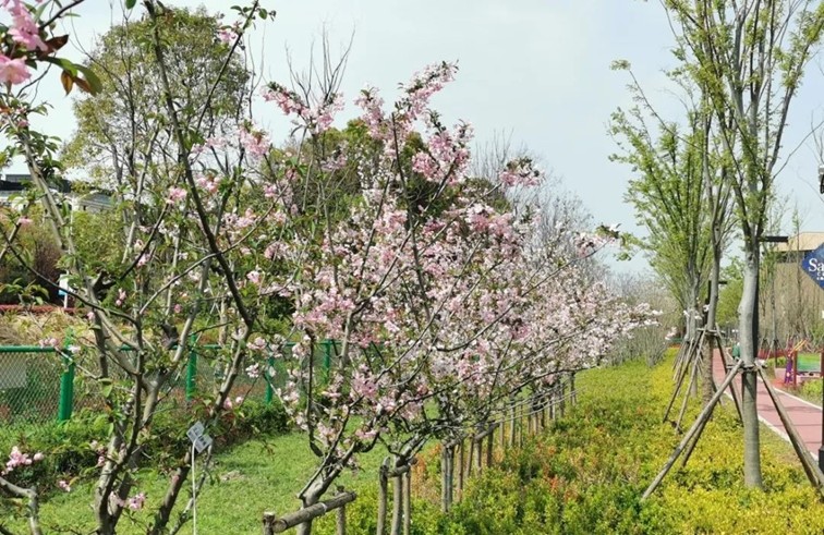 春日必逛!来青浦公园里放飞童年,收获满满治愈力 春日必逛!来青浦公园里放飞童年,收获满满治愈力