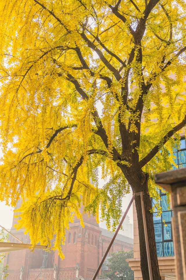 1216_150315_614.jpg 微信图片_2024-12-16_135334_017.png