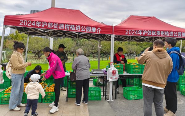 2024年沪郊柑橘公园推介活动取得良好反响2.jpg