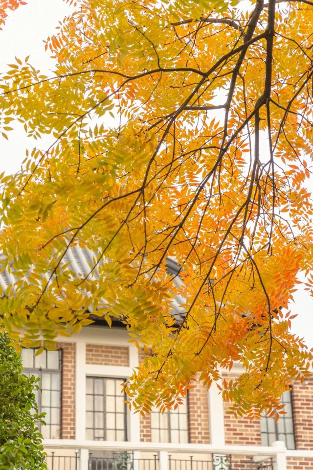 1216_150142_702.jpg 微信图片_2024-12-16_135310_345.png