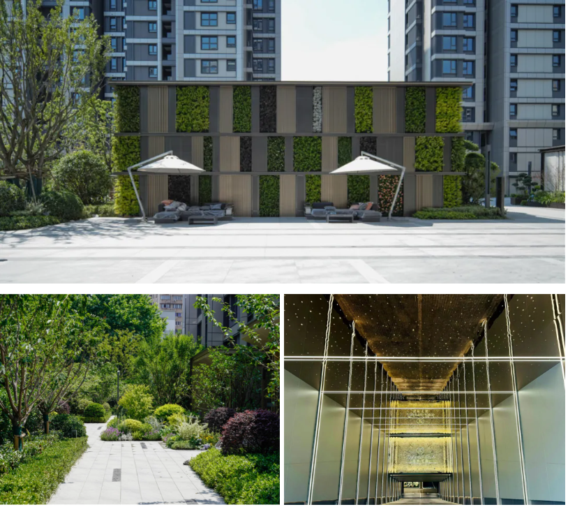 20240902084958063735.png image.png