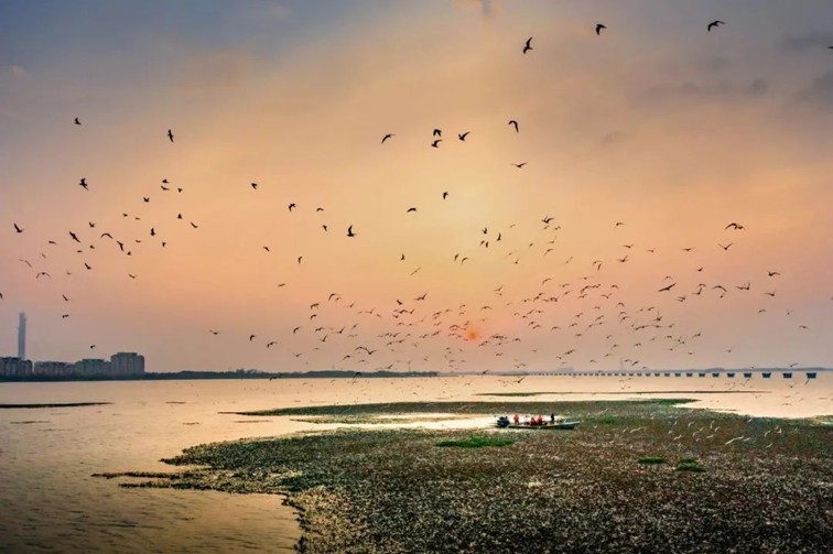 绿色青浦:报名开启,2025年长三角国际铁人三项赛重磅来袭! 绿色青浦:报名开启,2025年长三角国际铁人三项赛重磅来袭!