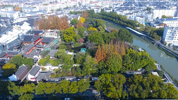 冬日“沪”水游，青浦新城：冬境绮梦，水韵流长