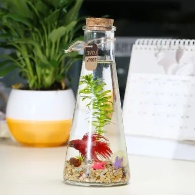 青浦区妇联活动预告:别再错过,超有趣活动招募进行中! 青浦区妇联活动预告:别再错过,超有趣活动招募进行中!