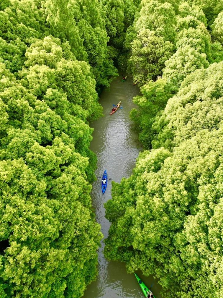 会·聚青浦|这条既City又Country的旅“行”,才是当代人的最爱! 会·聚青浦|这条既City又Country的旅“行”,才是当代人的最爱!