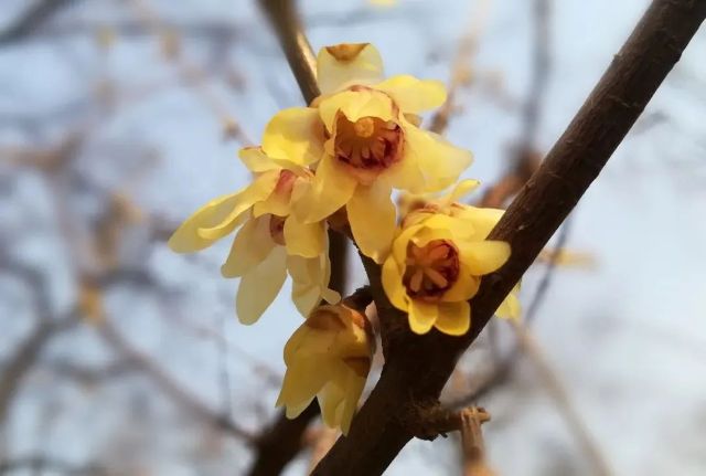 0120_141438_164.jpg 微信图片_2025-01-20_141251_491.png