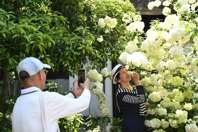 0421_152712_891.jpg 微信图片_2025-04-21_142027_301.jpg