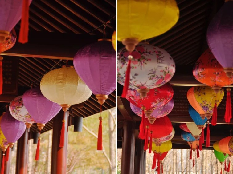 提一盏花灯入梦江南,来青浦用一场元宵灯海收官蛇年春节! 提一盏花灯入梦江南,来青浦用一场元宵灯海收官蛇年春节!