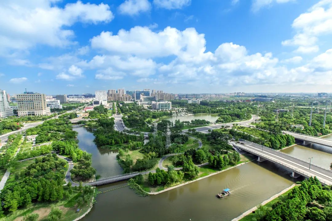 金山滨海地区新貌.jpeg 金山滨海地区新貌.jpeg