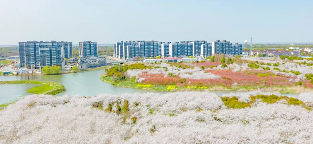 华为研发中心动迁基地.jpeg 华为研发中心动迁基地.jpeg