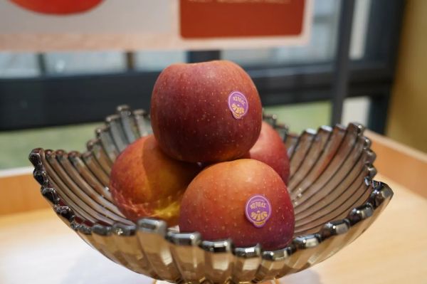 1031_134621255_277.jpg 20241031_134447_001.jpg