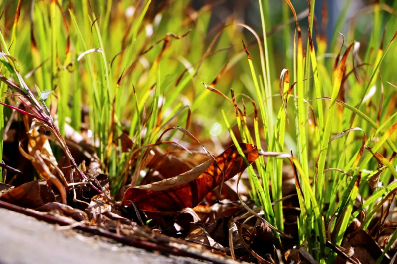 图片 20.png 图片 20.png