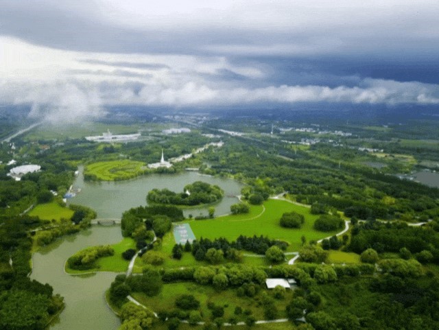 寒假有“趣”处！快快准备好，打包“神兽”送往青浦过冬~