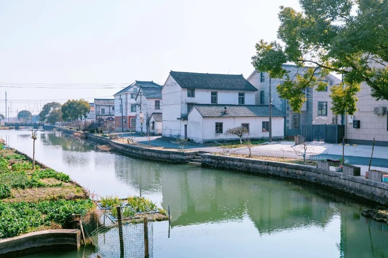 江南春景水一半，12处小流域绘青浦生态美域