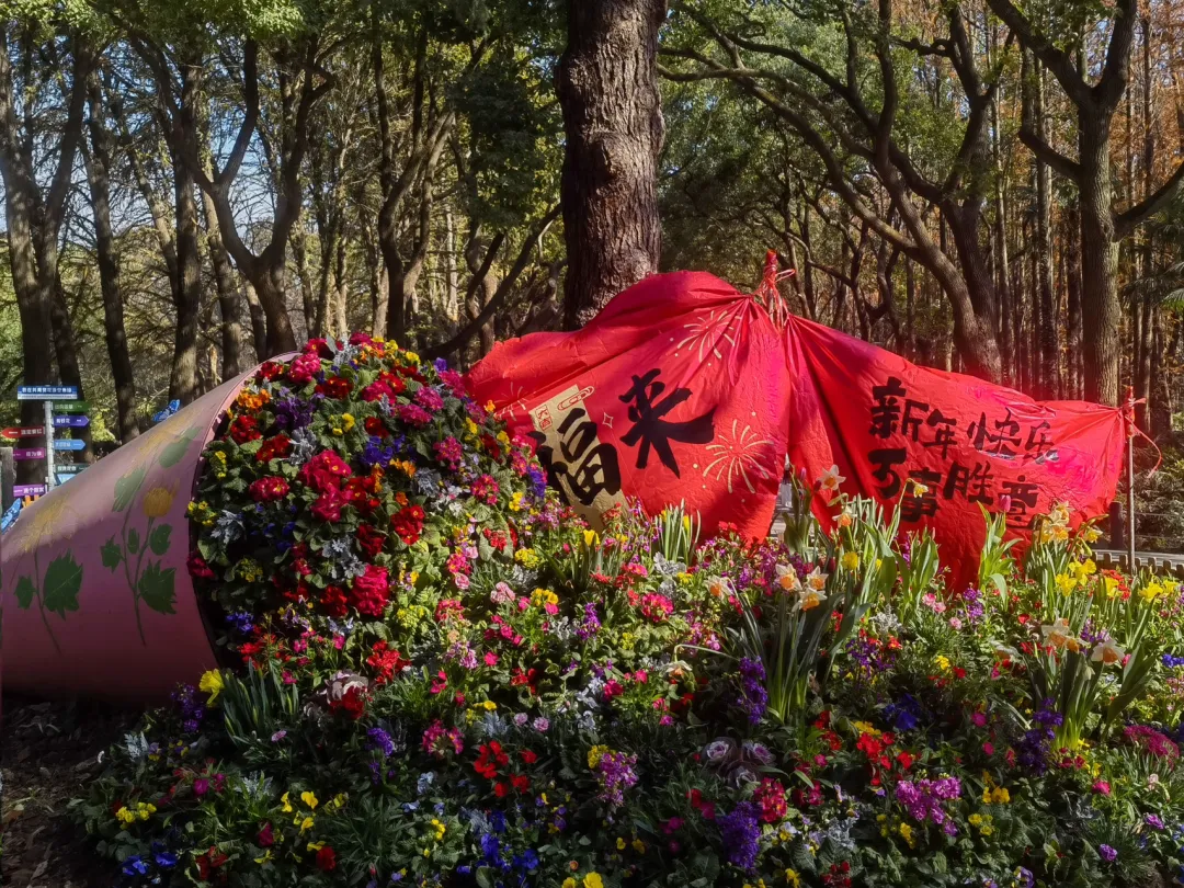 图片 2.png 图片 2.png