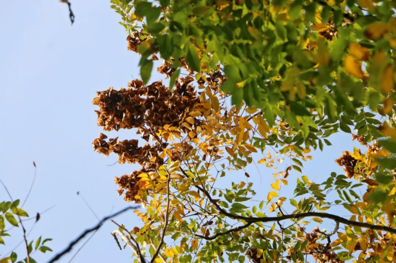 图片 15.png 图片 15.png