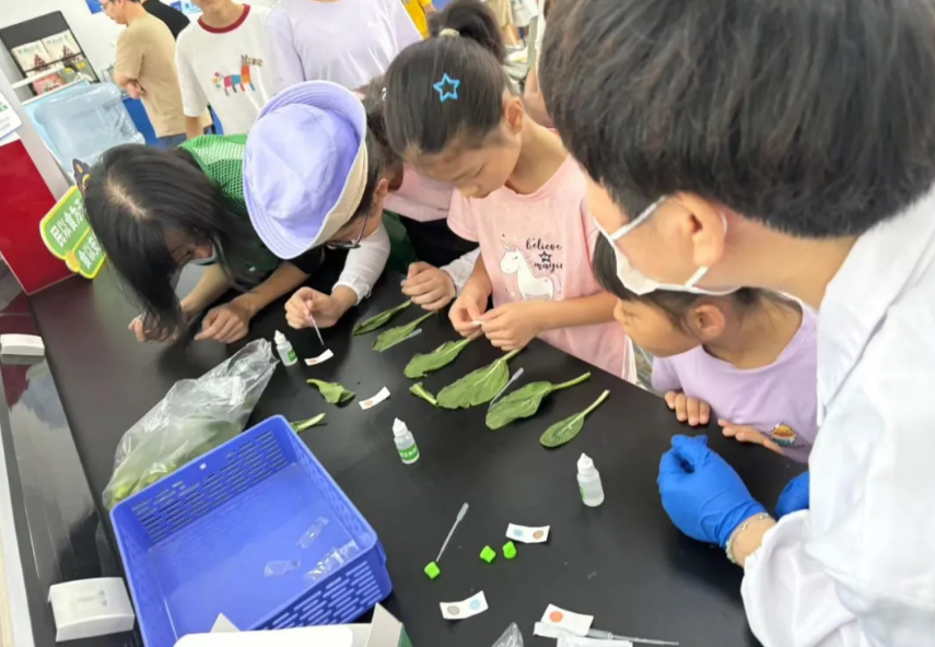 20240814112209571_14051833.png 20240814112209571_14051833.png