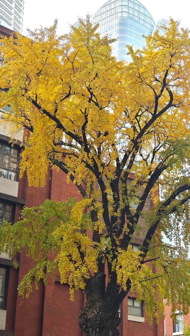 1216_150246_665.jpg 微信图片_2024-12-16_135327_984.png