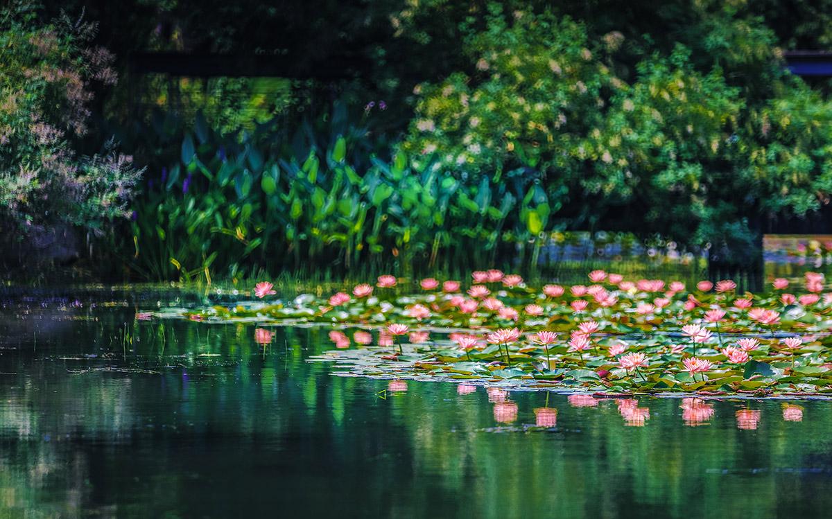 不染 展区 (2).jpg 不染 展区 (2).jpg