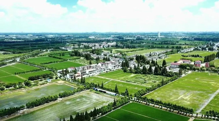 会·聚青浦|这些沪郊雅宿一到秋天就美翻,田园小院赏秋不扎堆 会·聚青浦|这些沪郊雅宿一到秋天就美翻,田园小院赏秋不扎堆