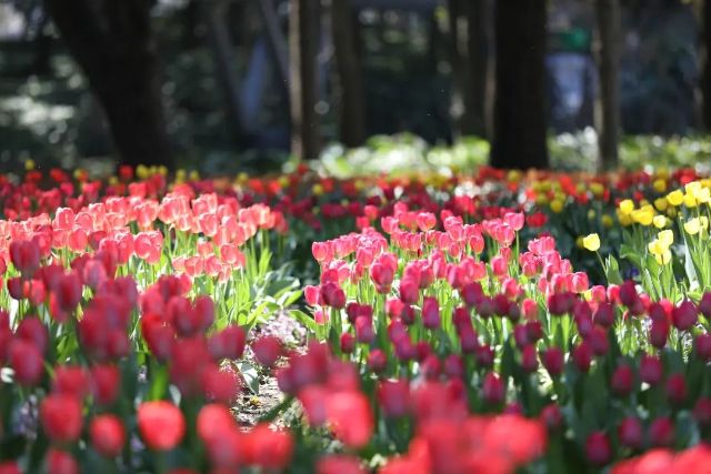 0324_125939_798.jpg 微信图片_2025-03-24_130020_238.jpg