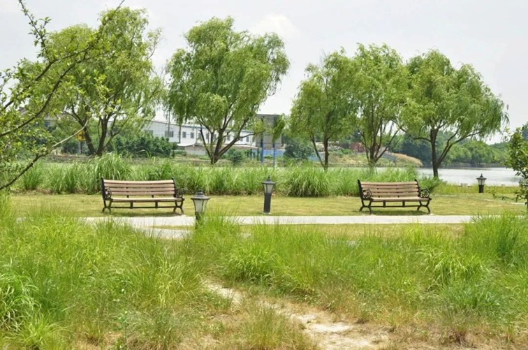 追风少年的春日漫游指南,带你邂逅青浦的N种风情! 追风少年的春日漫游指南,带你邂逅青浦的N种风情!