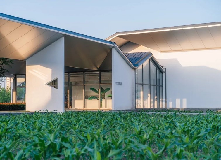 嗨翻新春！快来加入青浦这场异彩纷呈的“美育”大派对！