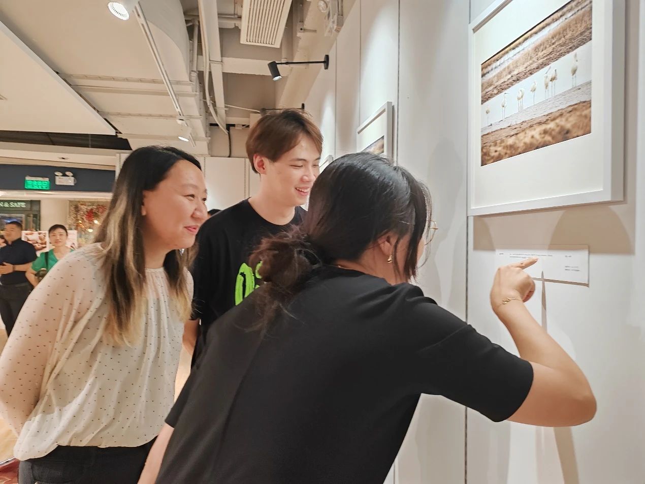 上海首个商场内的“生境花园”即将在长宁亮相1.jpg 上海首个商场内的“生境花园”即将在长宁亮相1.jpg