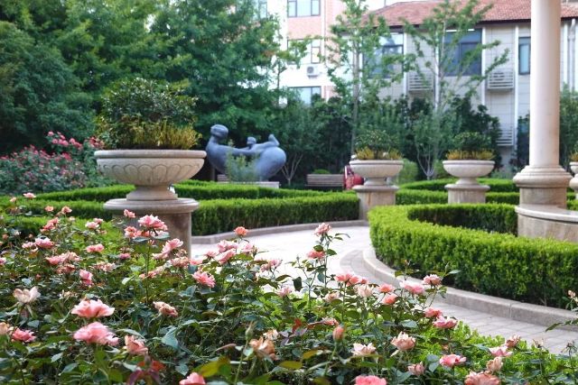 0812_141536_801.jpg 640 (16).jpg