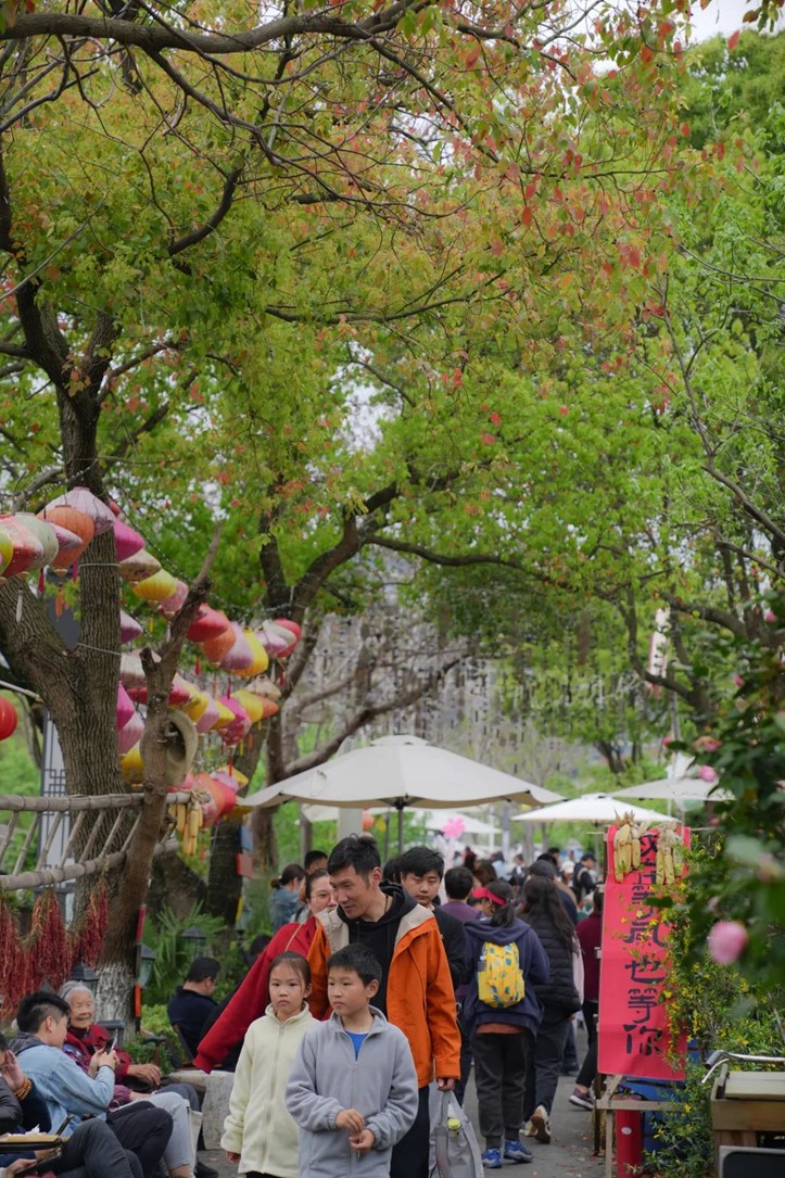 柿子熟了,快来青浦邂逅最“甜蜜”的秋!再不来就要等一年了! 柿子熟了,快来青浦邂逅最“甜蜜”的秋!再不来就要等一年了!