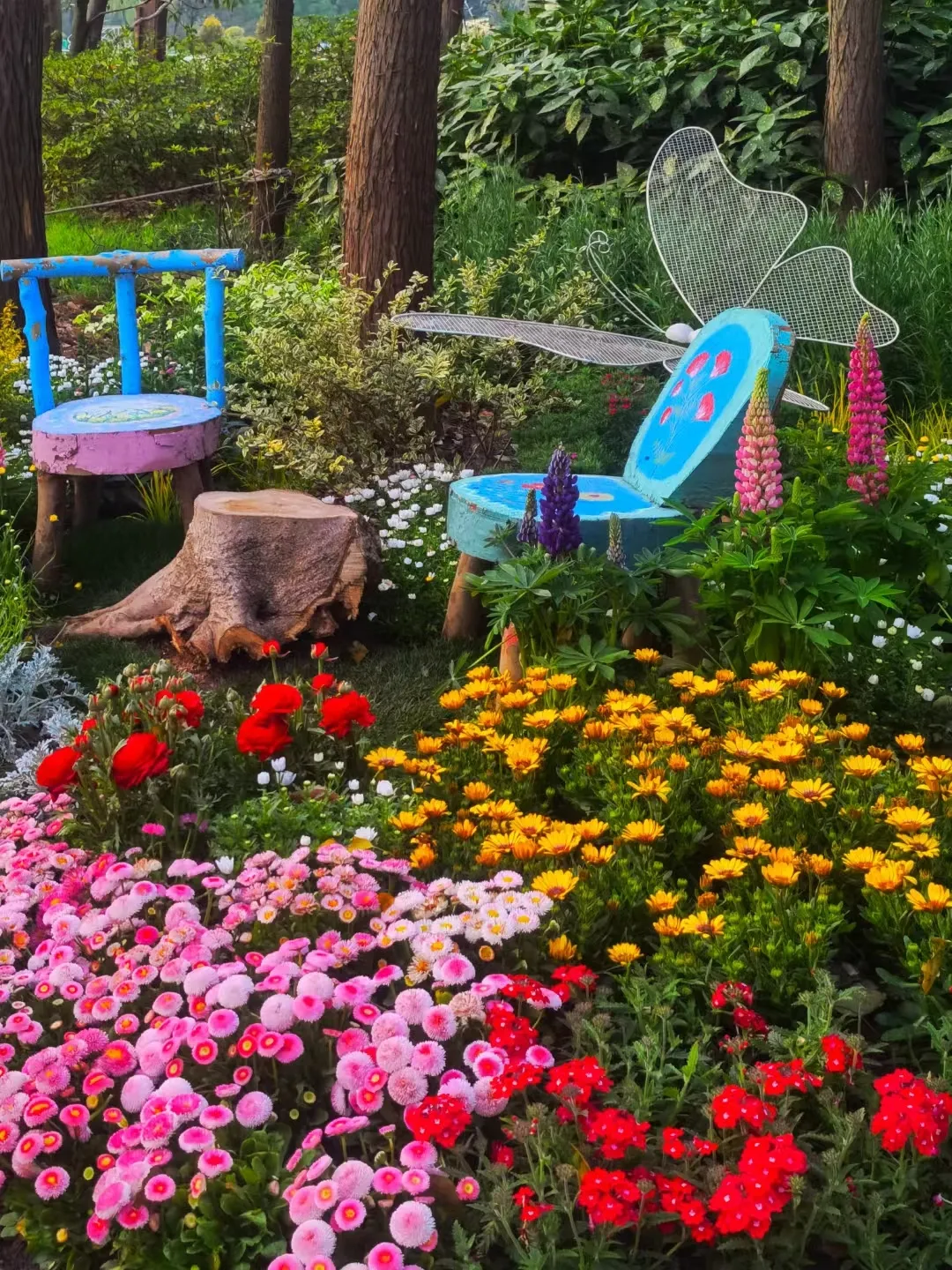 图片 6.png 图片 6.png