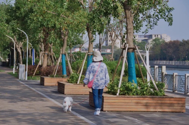 寒风乍起，秋意正浓，你想要的绝色秋光就藏在青浦！