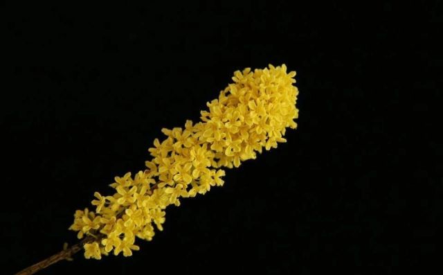 1021_130530_558.jpg 微信图片_20241021130355.jpg