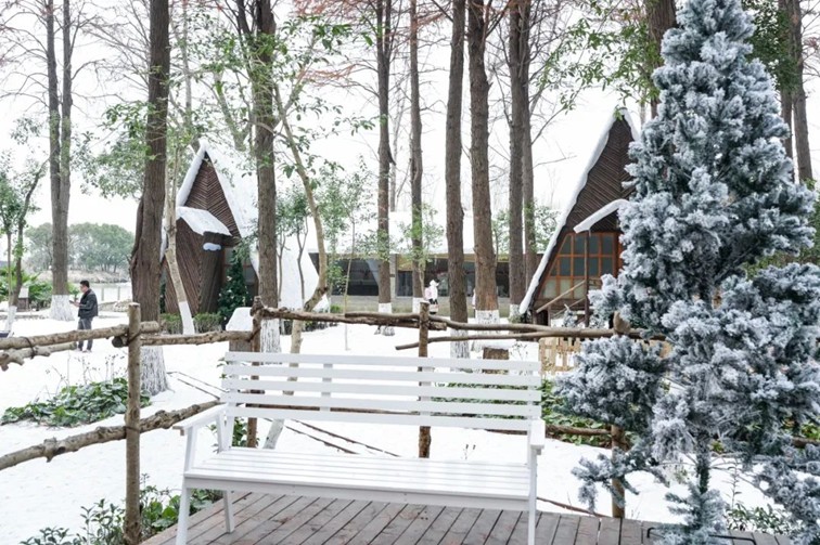 过大年·来青浦丨“蛇”我其谁~青浦近50场新春活动等你“过·来”玩！