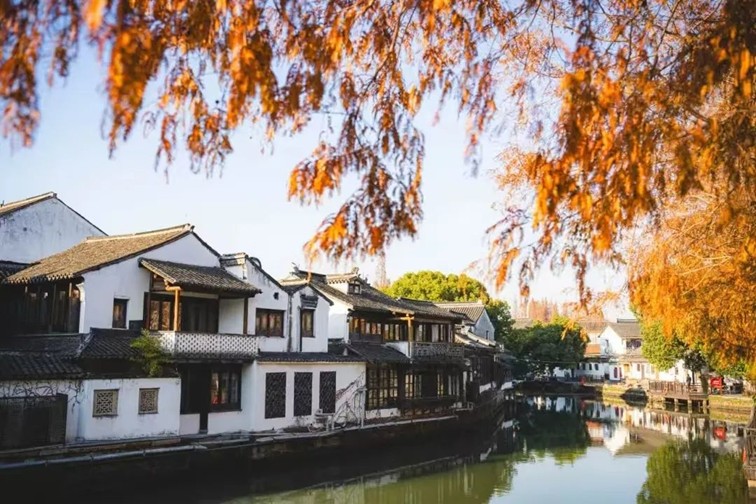 过大年·来青浦丨“蛇”我其谁~青浦近50场新春活动等你“过·来”玩！