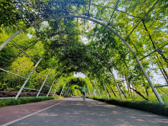 图片9.png 图片9.png