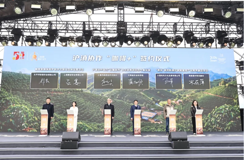 image (19).png