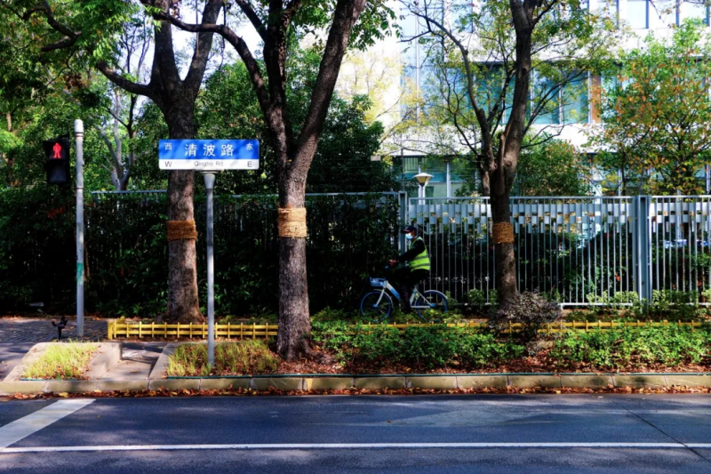 图片 17.png 图片 17.png