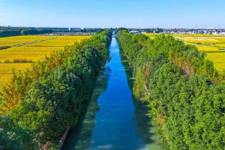 江南春景水一半，12处小流域绘青浦生态美域