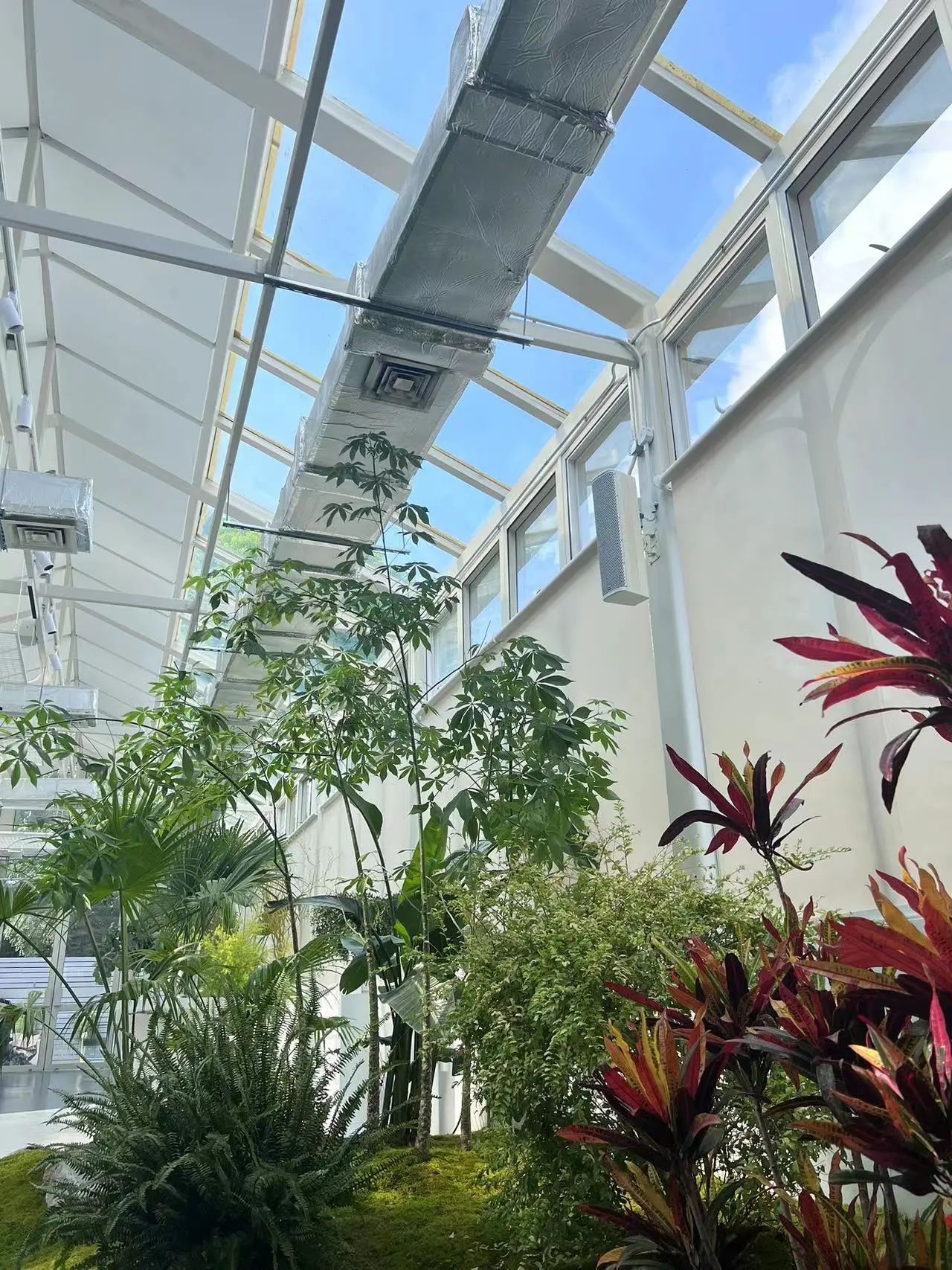 即将开放的长宁市民园艺中心迎来首批客人“探营”10.jpg 即将开放的长宁市民园艺中心迎来首批客人“探营”10.jpg