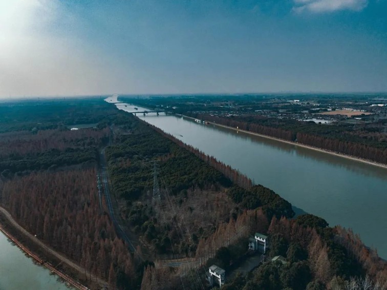 追风少年的春日漫游指南,带你邂逅青浦的N种风情! 追风少年的春日漫游指南,带你邂逅青浦的N种风情!